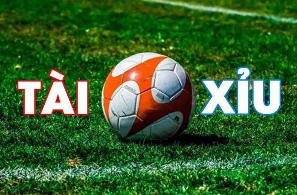 Chuyên gia chia sẻ kinh nghiệm cá cược kèo Tài Xỉu luôn thắng