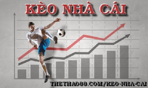 Những tỷ lệ kèo cá cược thể thao phổ biến nhất ở các nhà cái