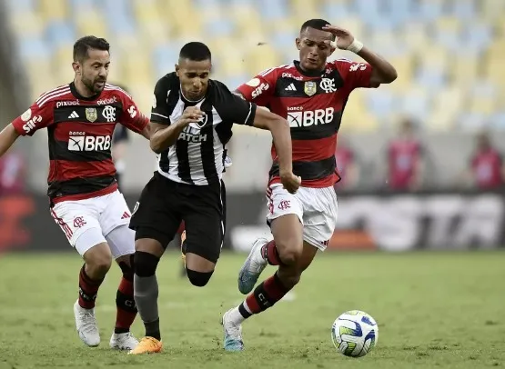 Botafogo vs Flamengo, 7h00 ngày 3/9 – Soi kèo VĐQG Brazil