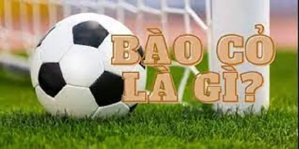 Giải thích bào cỏ trong cá cược bóng đá và cách tính tiền COM cho người mới chơi
