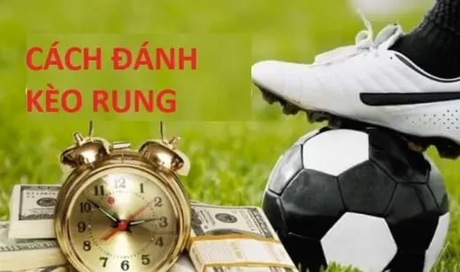 Kèo rung: Áp dụng những kinh nghiệm hiệu quả dễ dành chiến thắng