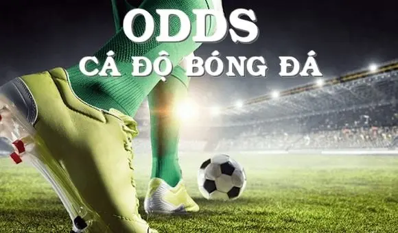 Tìm hiểu tỷ lệ cược Odds: Khái niệm cơ bản trong cá độ bóng đá