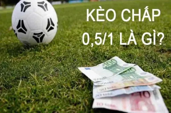 Kèo 0.5-1 là gì Những điều mà bạn chưa biết về kèo cược chấp 0.5-1