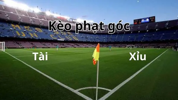 Kinh nghiệm soi kèo phạt góc có tỷ lệ thắng tới 90%