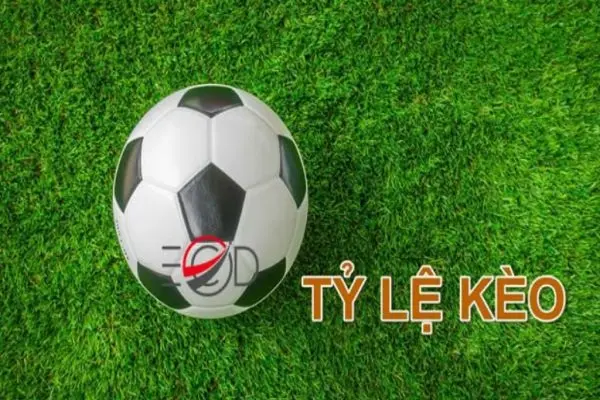 Khám phá bí mật của tỷ lệ kèo cược bóng đá Châu Á