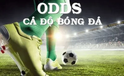 Tìm hiểu tỷ lệ cược Odds: Khái niệm cơ bản trong cá độ bóng đá